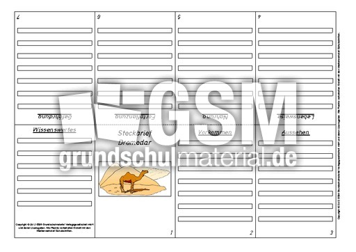 Faltbuch-Steckbrief-Dromedar-2.pdf
